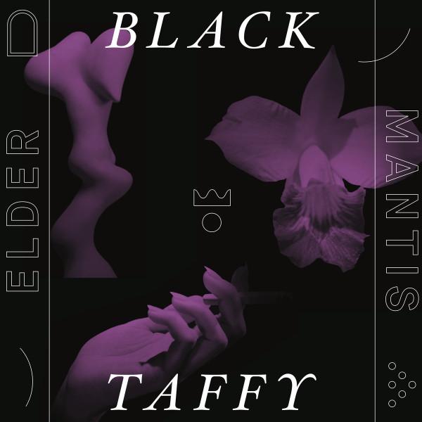 Elder Mantis - Black Taffy