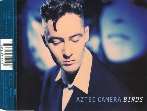 Birds - Aztec Camera