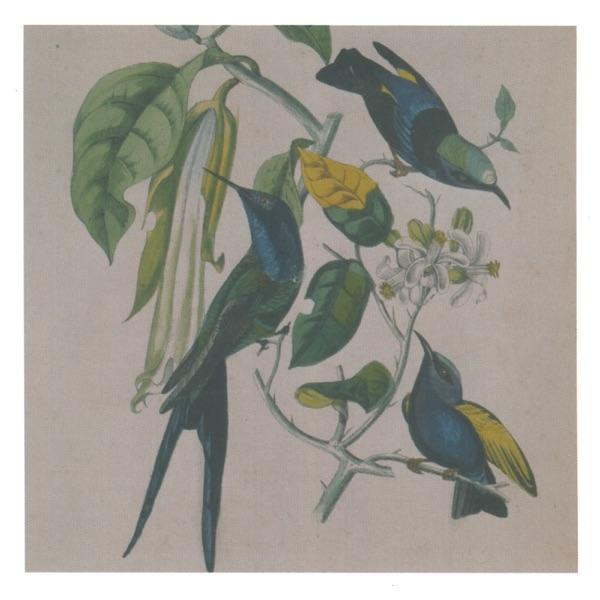 Sakura - Susumu Yokota