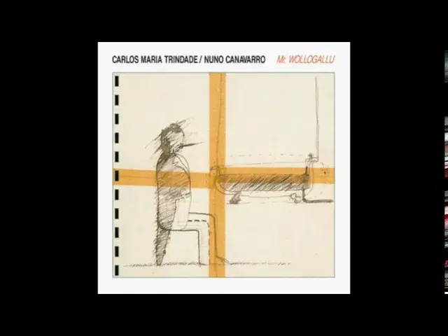 Mr. Wollogallu - Nuno Canavarro