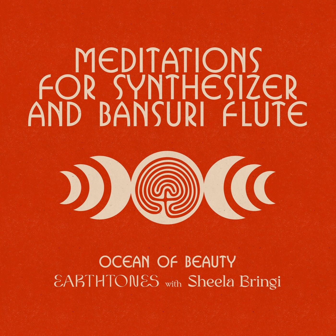 Cosmic Dissolution / Tripura Sundari - Sheela Bringi, Earthtones