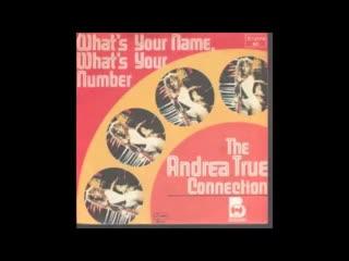  - Andrea True Connection