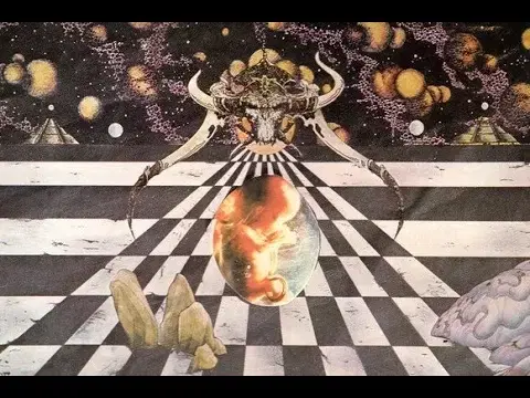 Human Egg - Human Egg