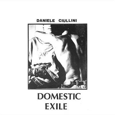 Domestic Exile Collected Works 82-86 - Daniele Ciullini