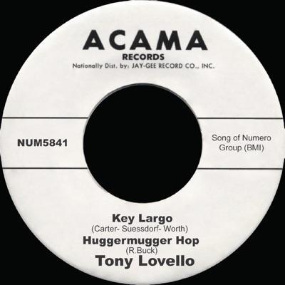 Call Me Old Fashioned - Tony Lovello