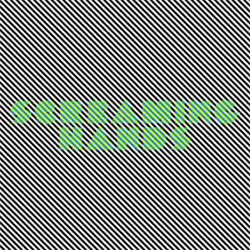Screaming Hands 12" (Web Release) - Radio Slave