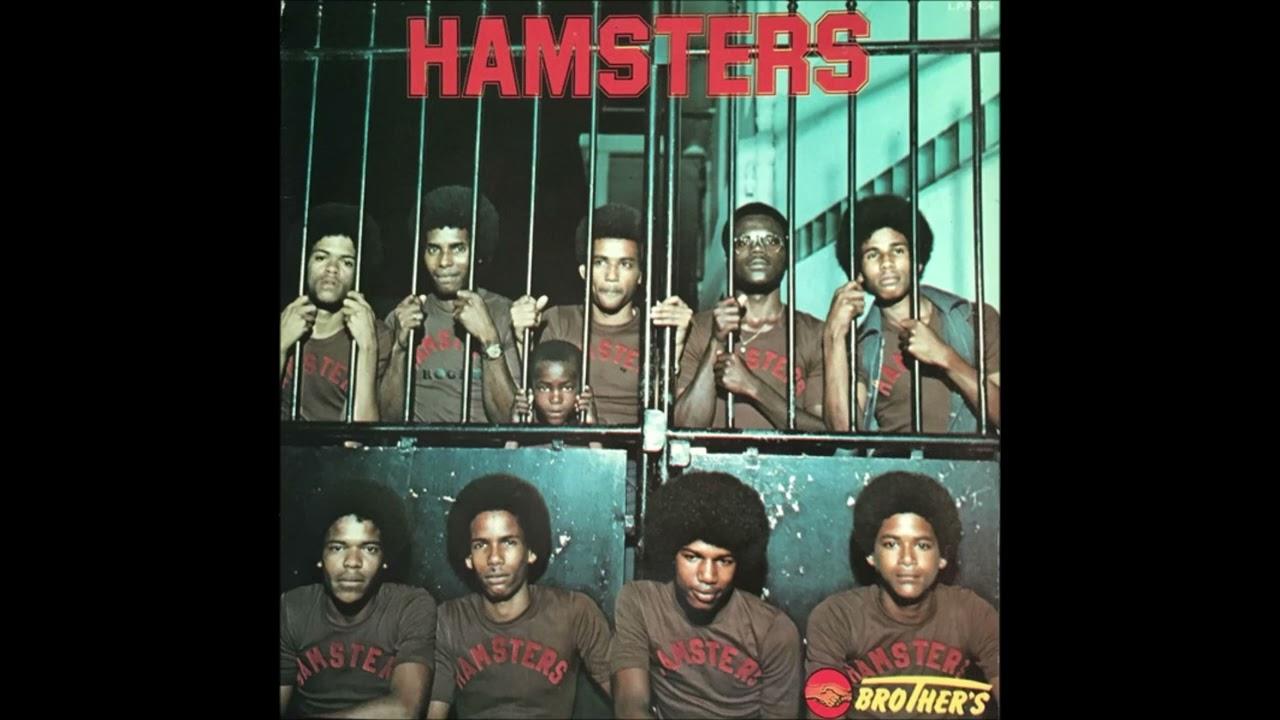  - The Hamsters