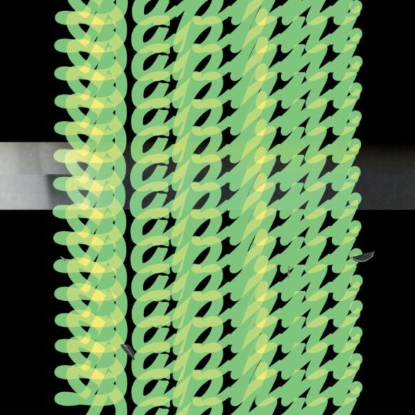 Jiaolong - Daphni
