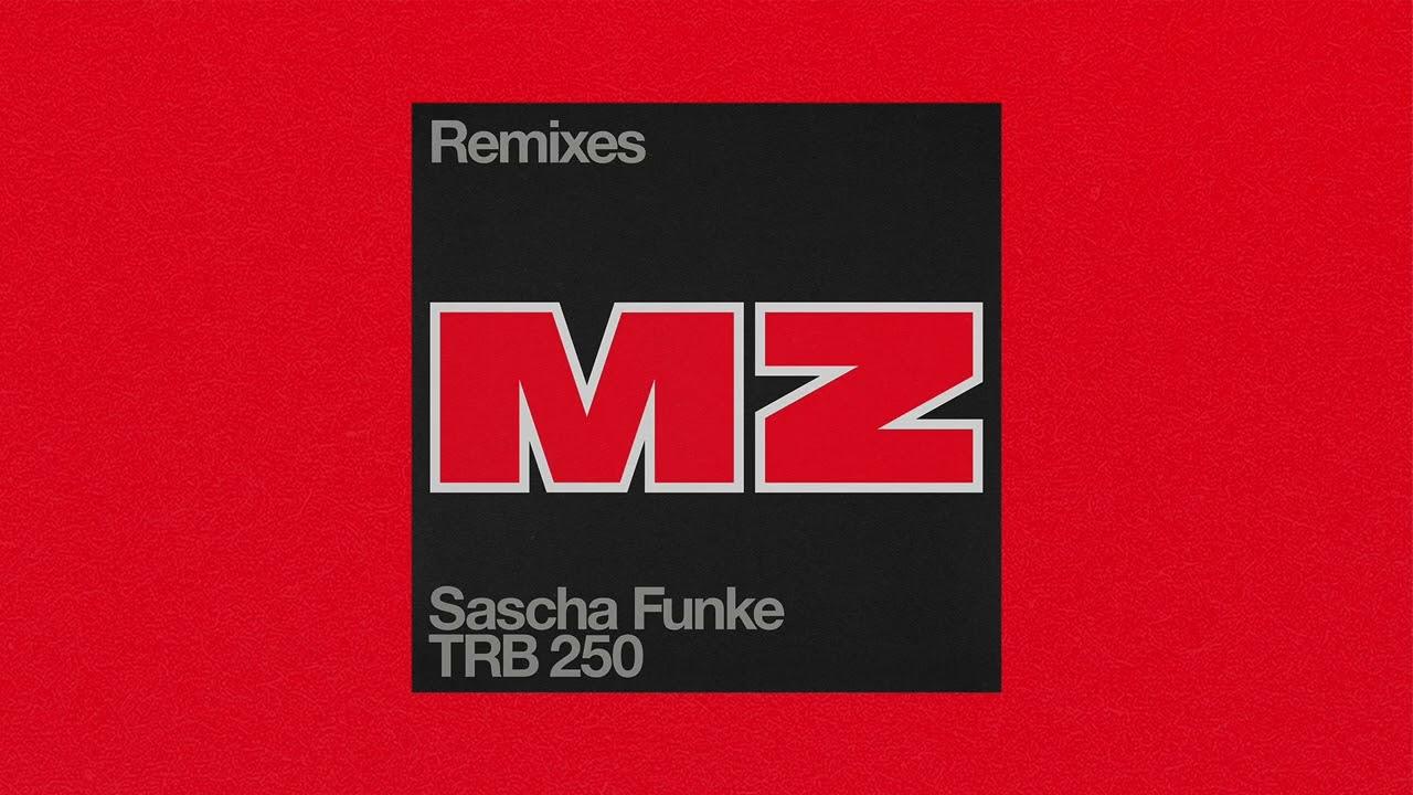 MZ (Remixes) - Sascha Funke & Roman Flugel