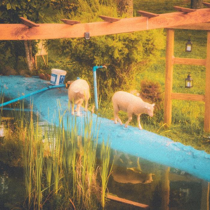 Poetry for the Lambs - Aumile