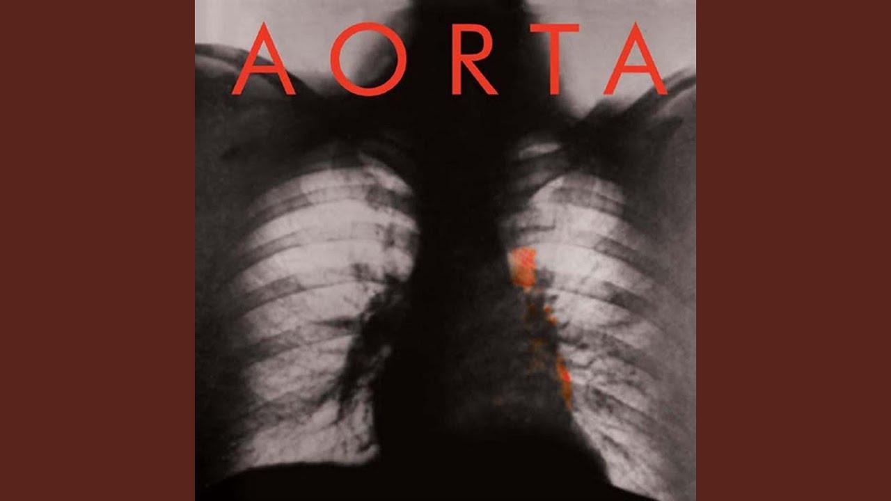 Aorta - Aorta