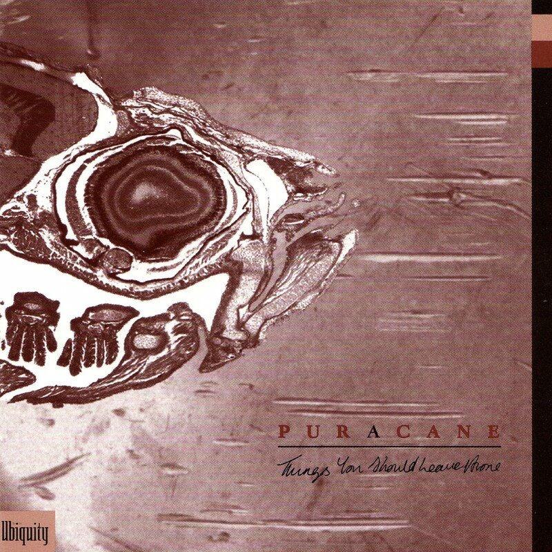 Things You Should Leave Alone - Puracane