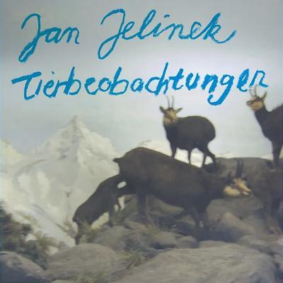 Tierbeobachtungen - Jan Jelinek