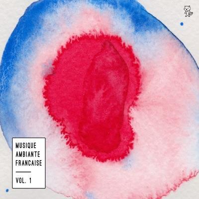 Musique Ambiante Française Vol. 1 - Monade Ach