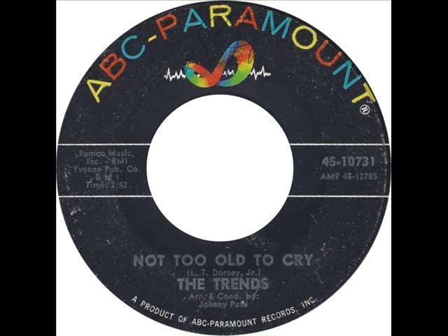 Not Too Old To Cry / If You Don't Dig The Blues - The Trends
