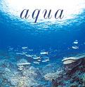 Aqua - Mirei Kawasaki