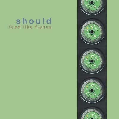 Feed Like Fishes - Should
