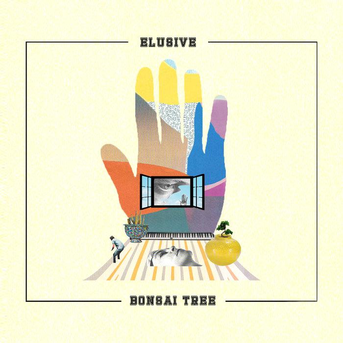 Bonsai Tree - Elusive