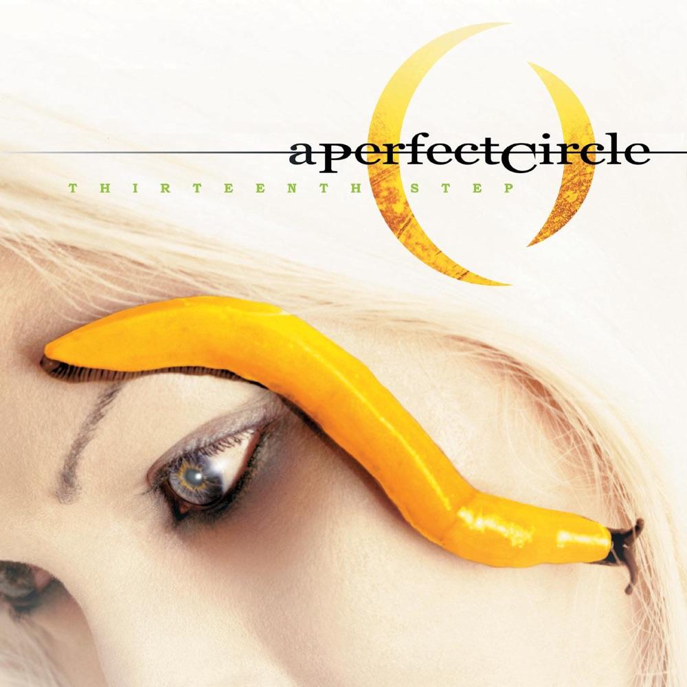  - A Perfect Circle