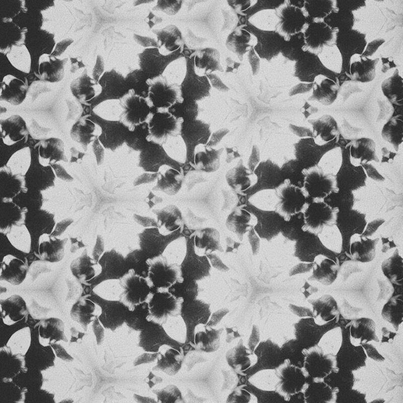 single - Dottie