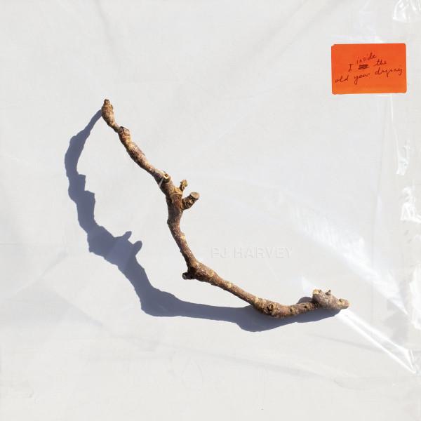 I Inside The Old Year Dying - PJ Harvey