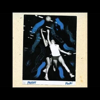 Przelot - Ptaki