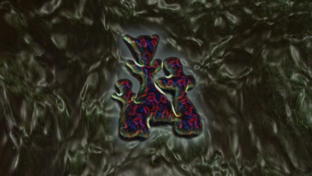 Performing Belief - James Krivchenia