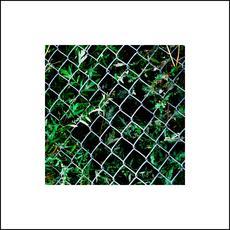 Urns - 504 Aquatic