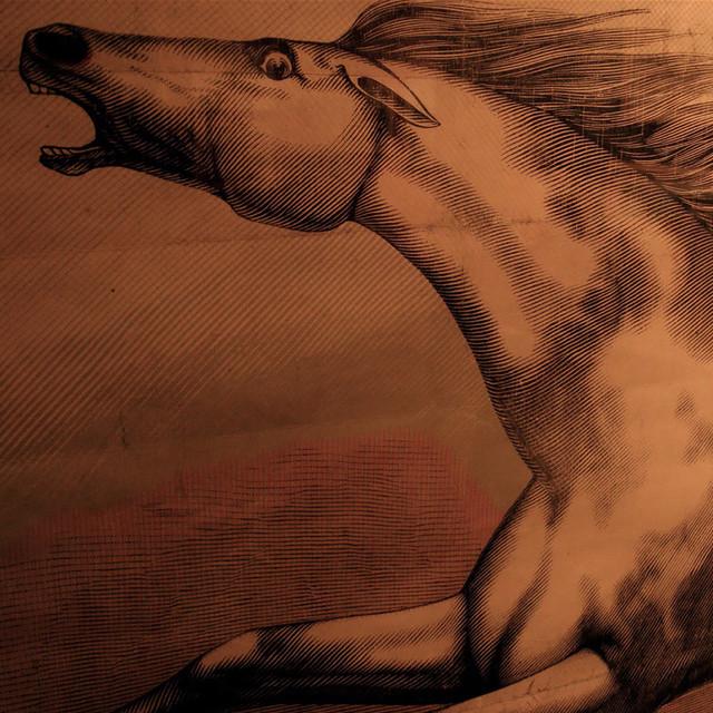 Mare - Julian Lynch