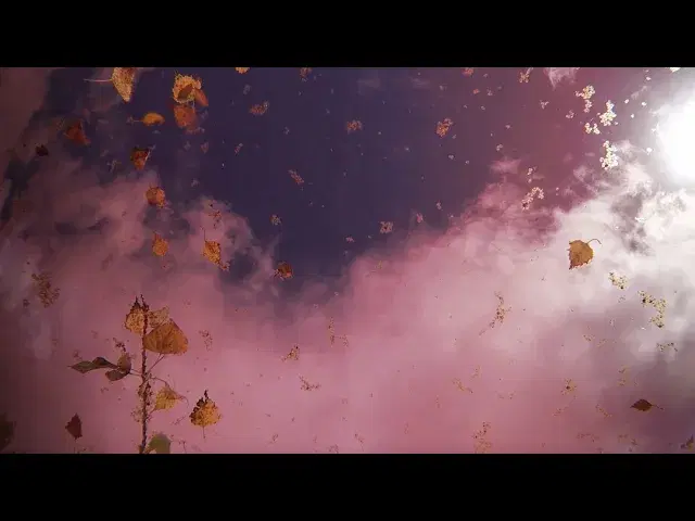 Teotihuacan (Single) - Zoon van snooK
