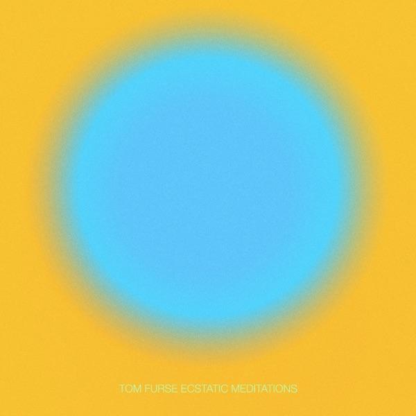Ecstatic Meditations - Tom Furse