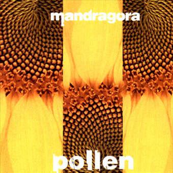 Pollen - Mandragora