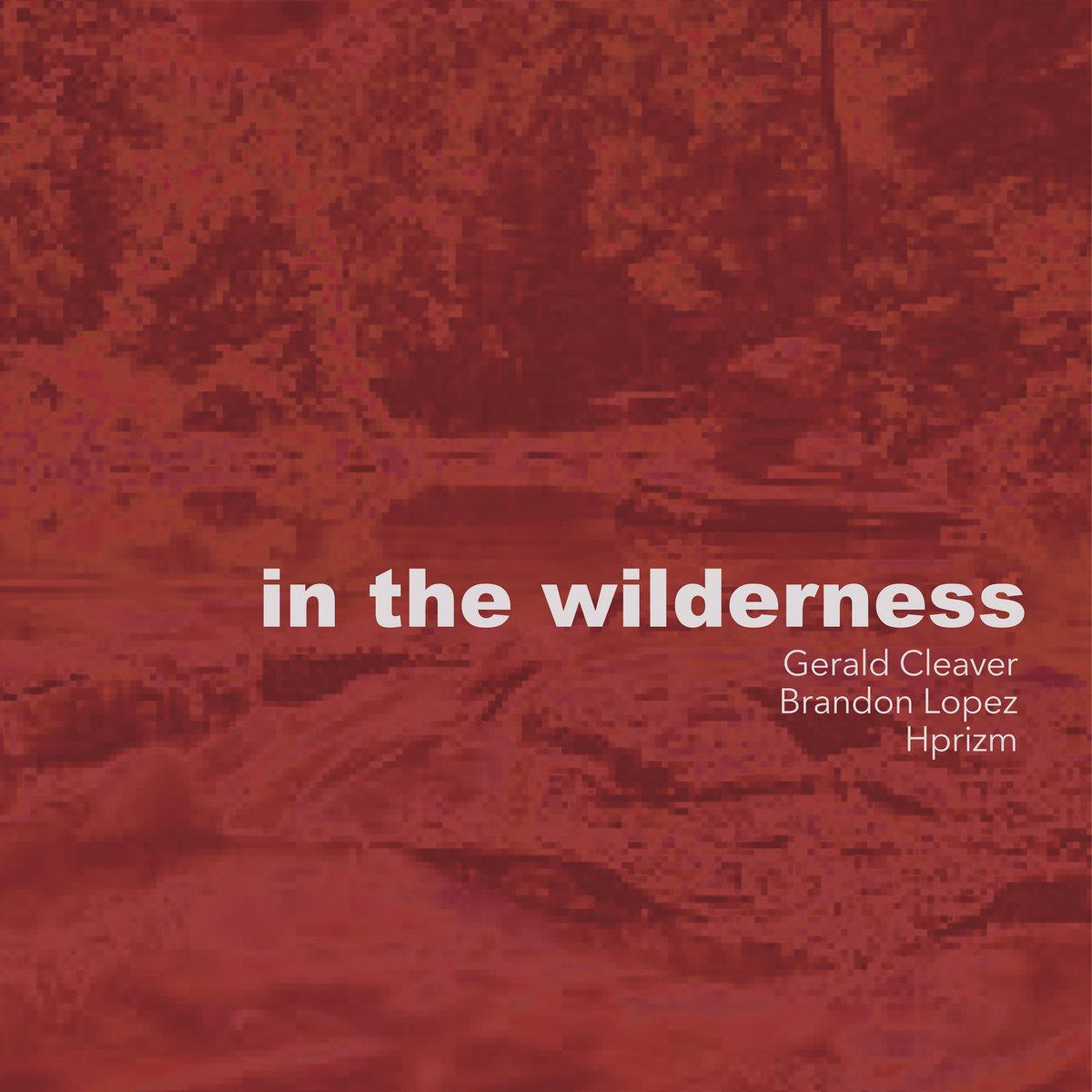 In The Wilderness - Gerald Cleaver | Brandon Lopez | Hprizm