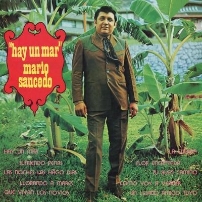  - Mario Saucedo