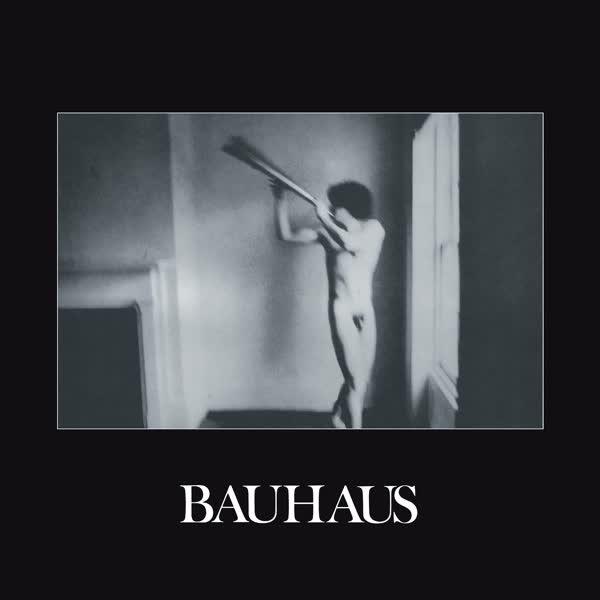 In the Flat Field - Bauhaus