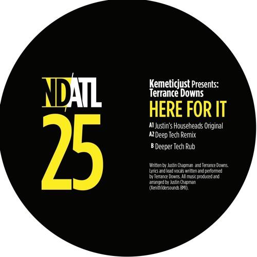 Here For It - Kemetic Just presents Terrance Downs