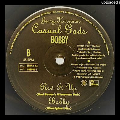 Rev It Up - Jerry Harrison: Casual Gods