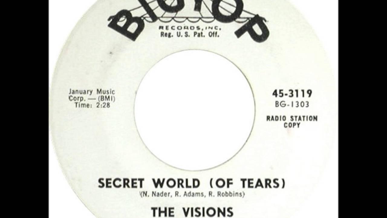  - The Visions