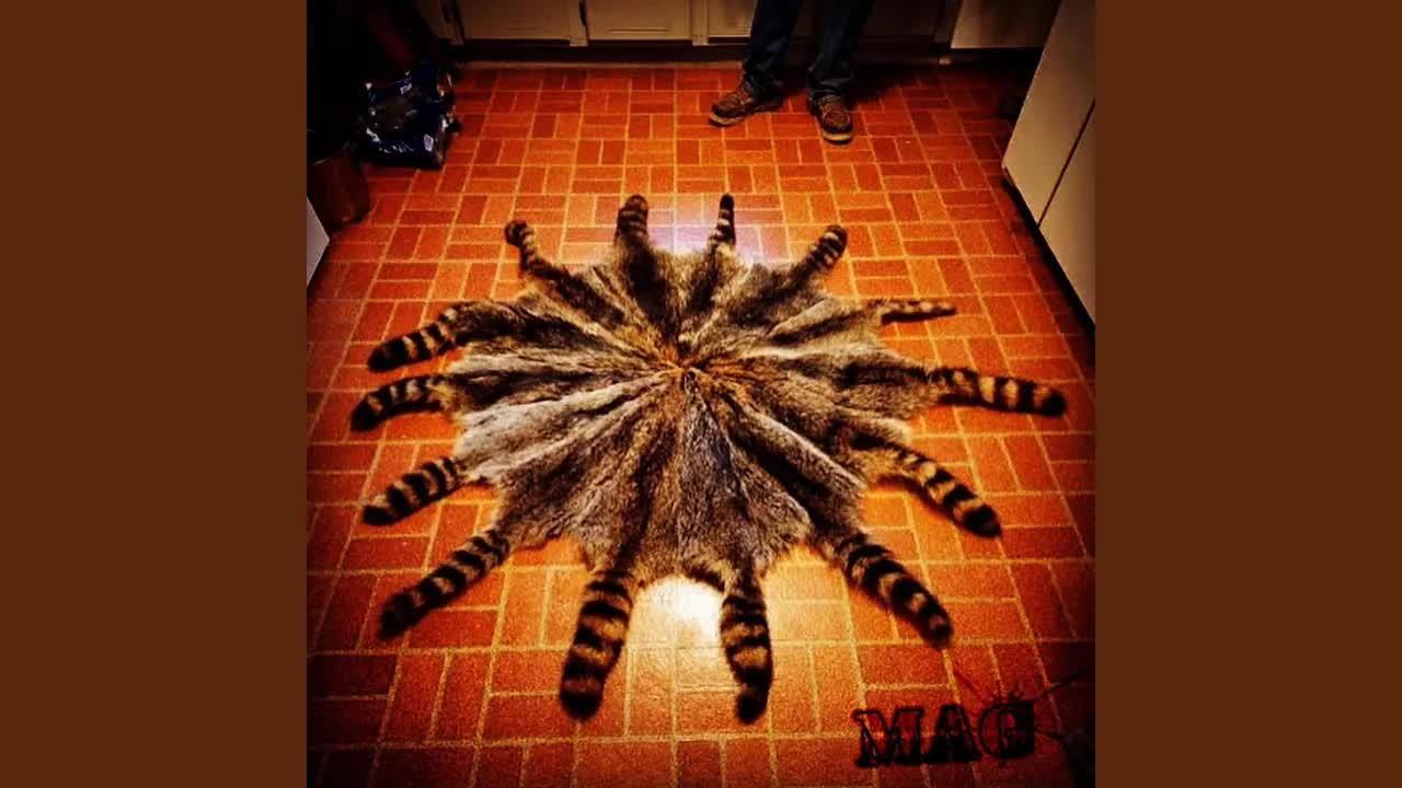 Wild One - fakemink