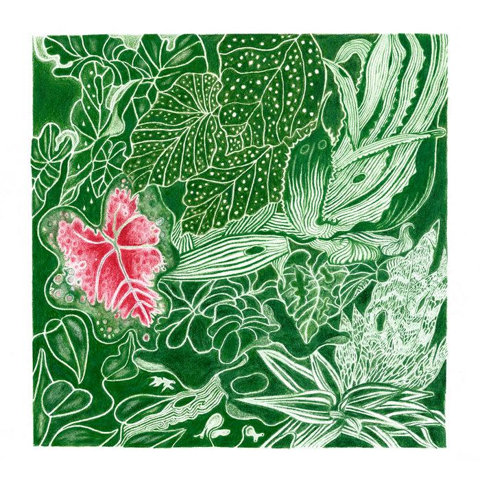 The Indoor Gardener - Double Geography