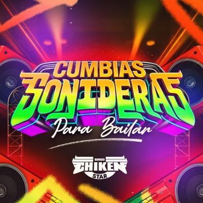 2024-08-08 1329 - Sonido Chiken star
