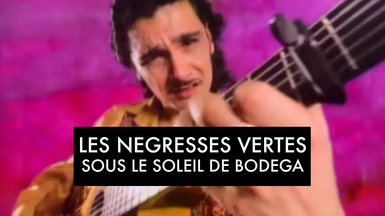 Sous Le Soleil De Bodega (Remix) - Les Négresses Vertes