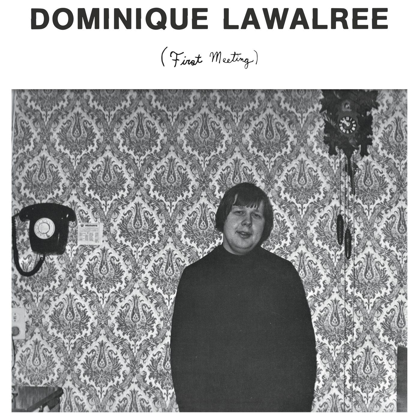 1.10.17 - Dominique Lawalrée