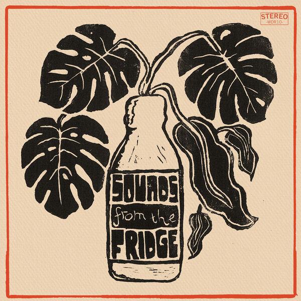 Sounds from the Fridge - The Co-operators