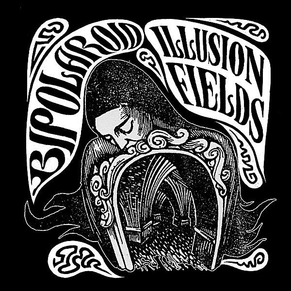 Illusion Fields - Bipolaroid