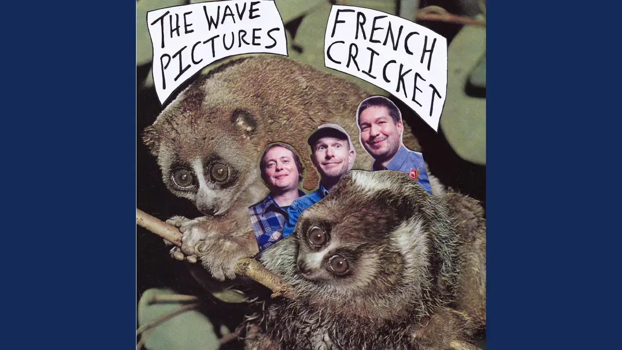 French Cricket - The Wave Pictures