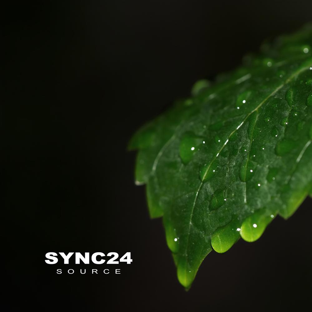  - Sync24