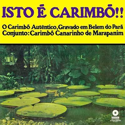  - Canarinho de Marapanim