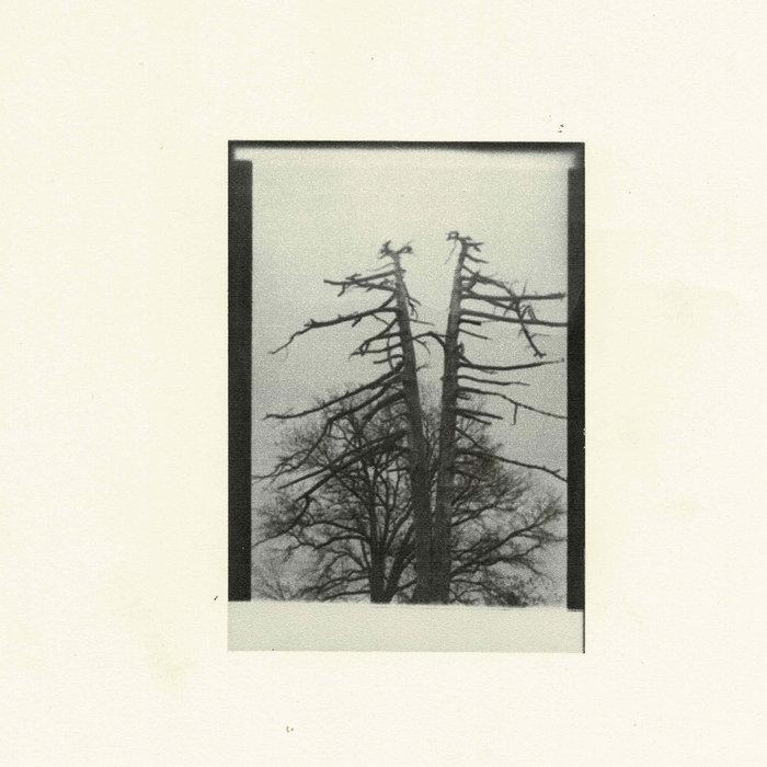 demos - Cancer House