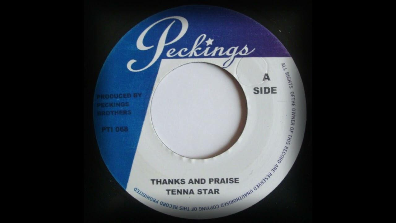 peckings gold - Tenna star